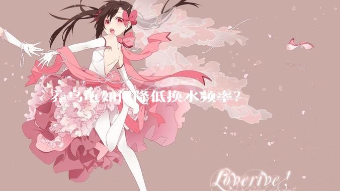 养乌龟如何降低换水频率？