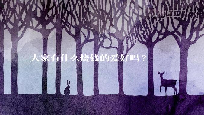 大家有什么烧钱的爱好吗?